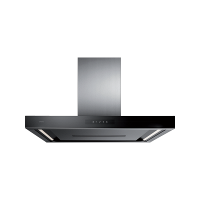 Wall-mounted hood