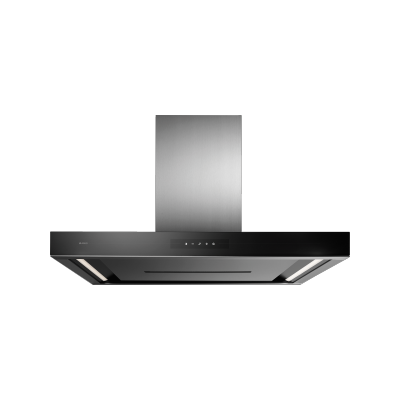 Wall-mounted hood
